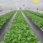 �߲�ר�ö๦����Ĥ