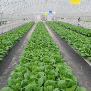 �߲�ר�ö๦����Ĥ