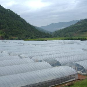 Anti-Qxidative Greenhouse Film